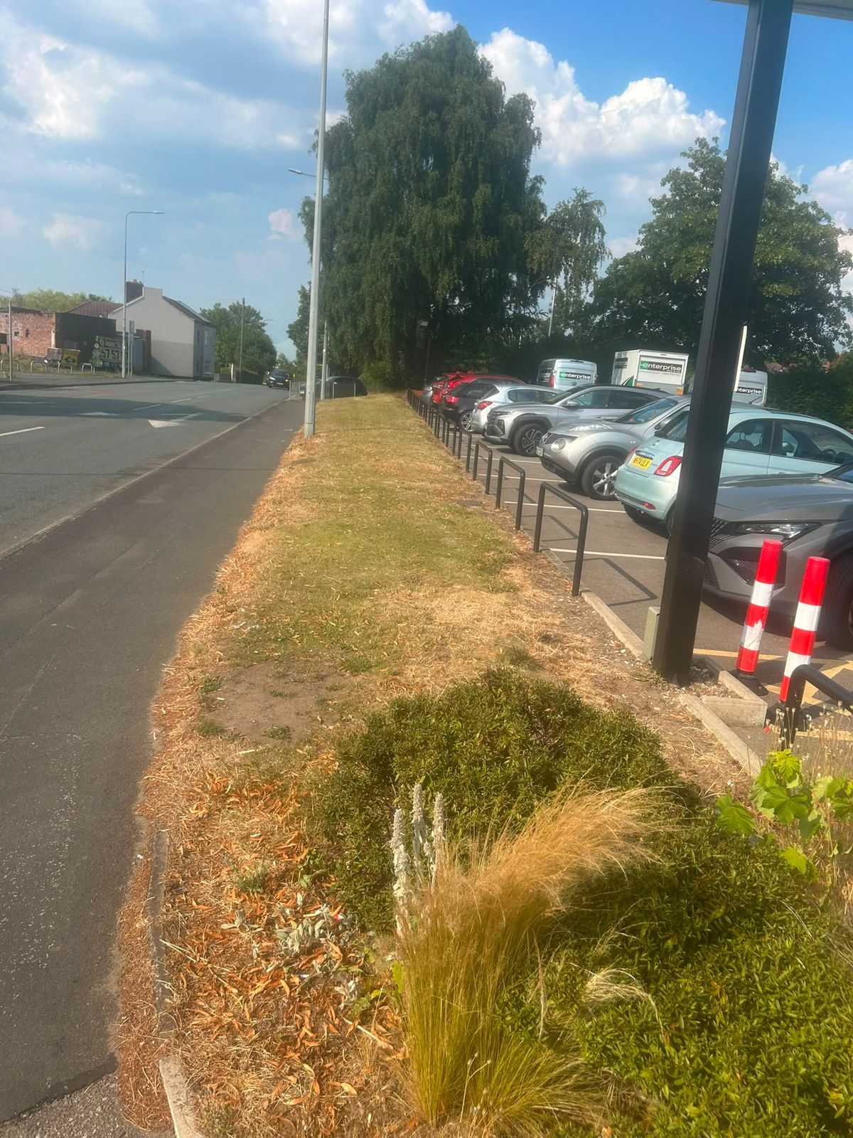 Maintained roadside verge and planting beside a car park
