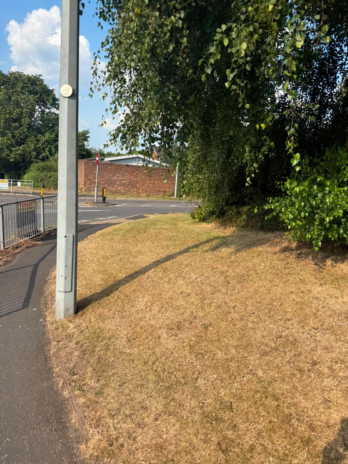 Cleared path and cut grass corner beside hedging